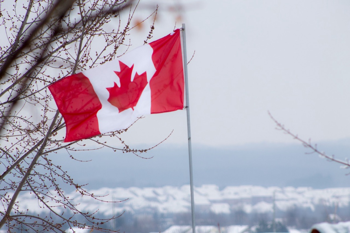 bandiera del Canada e foglia d'acero