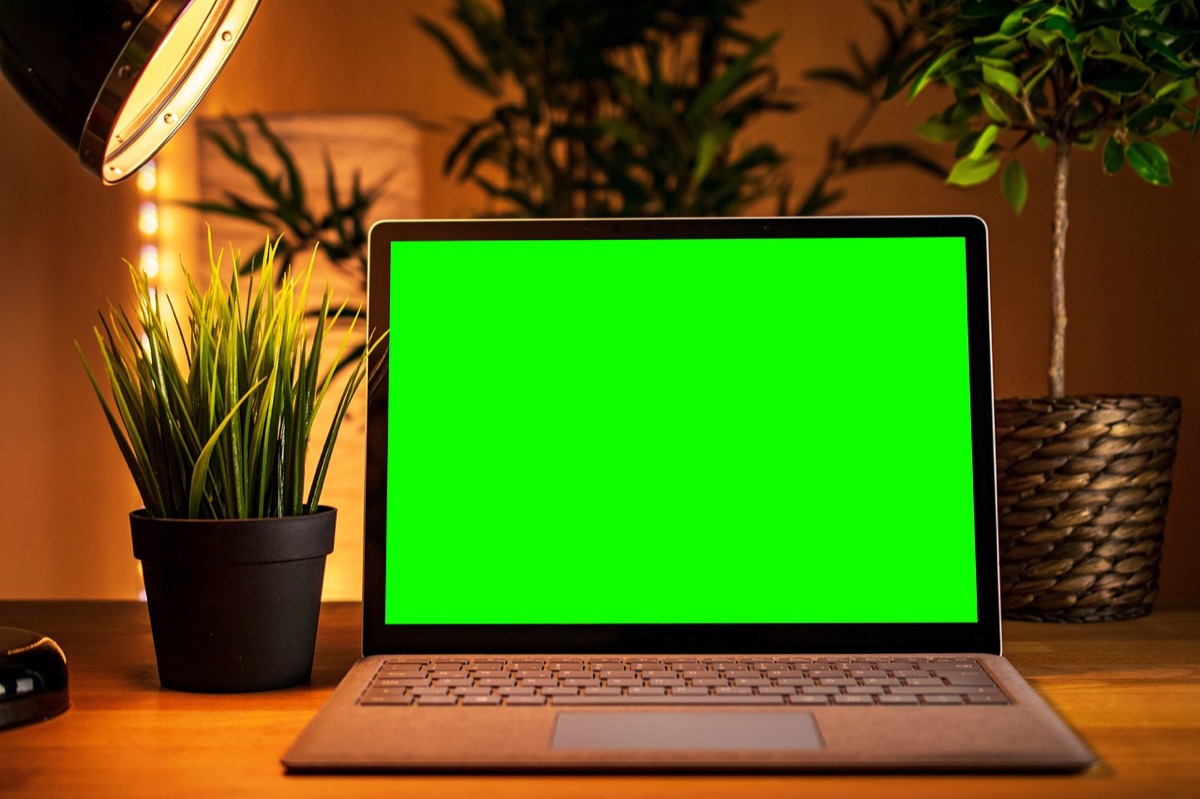 kanadischer influencer mit laptop und kamera